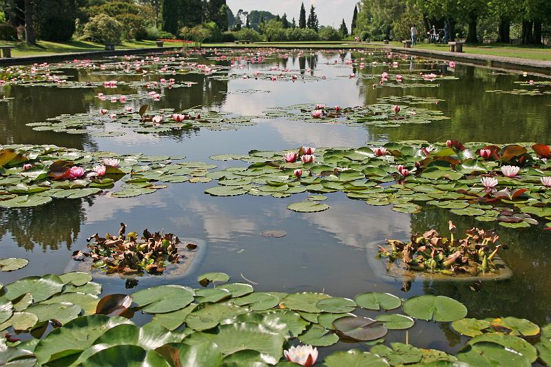 Parco Sigurta_03.JPG